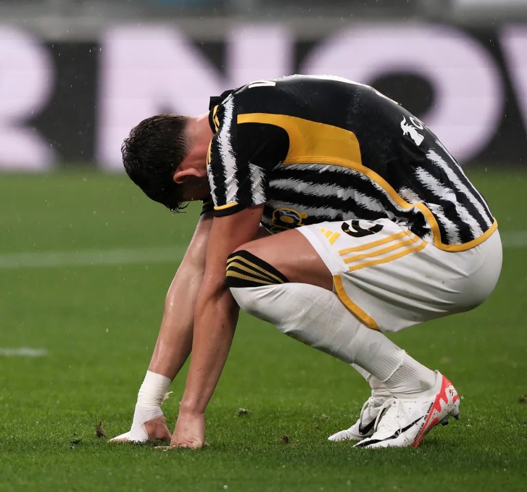 现的他便引 现的他便引